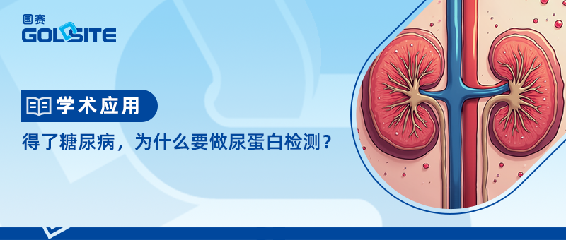 得了糖尿病，為什么要做尿蛋白檢測？