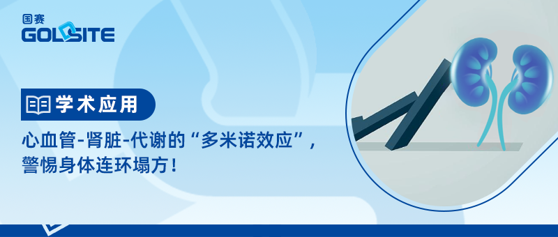 心血管-腎臟-代謝的“多米諾效應(yīng)”，警惕身體連環(huán)塌方！